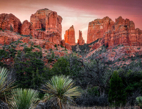 Preparation and Solitude: Sunrise Cathedral Rock